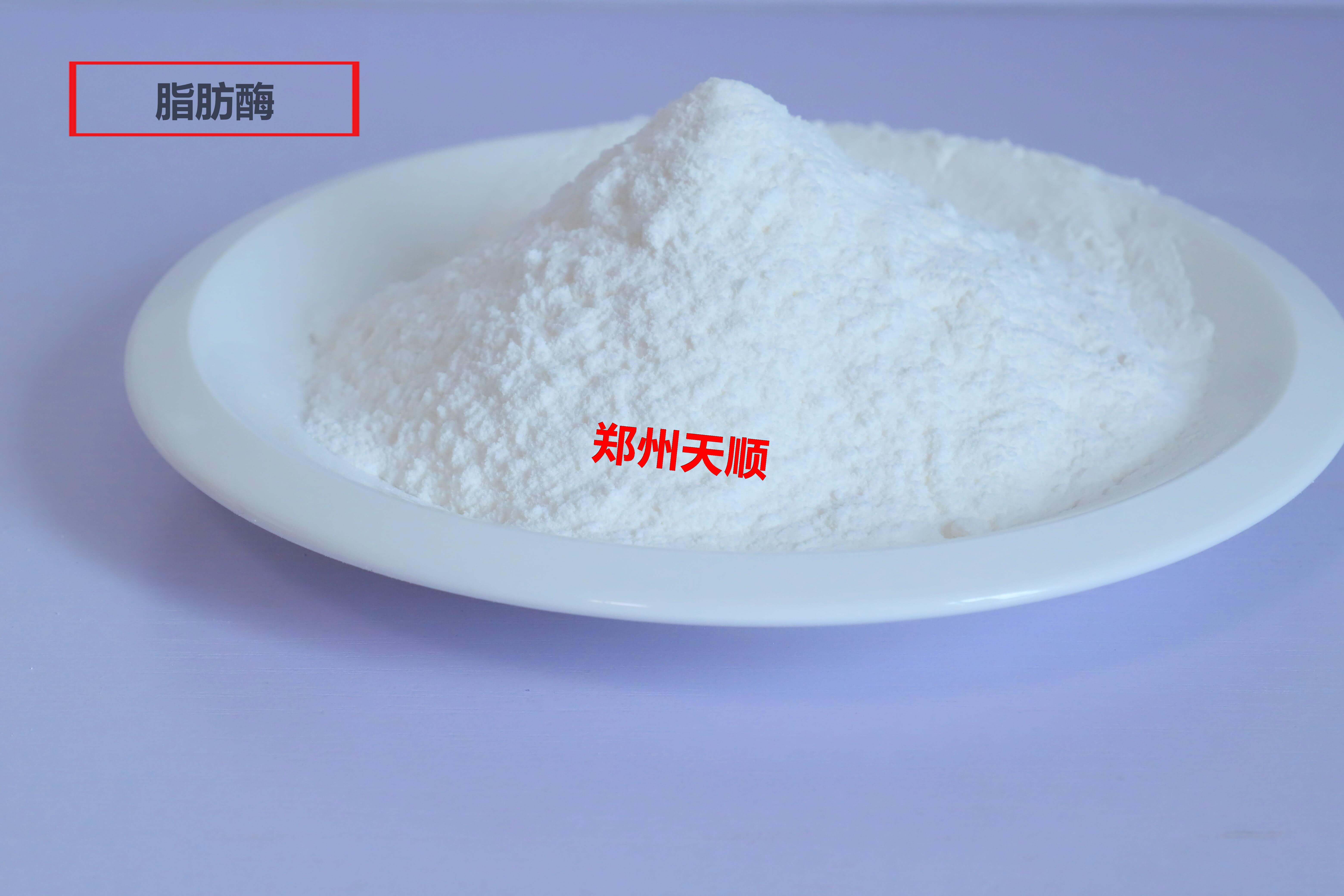 脂肪酶生產(chǎn)廠家大量批發(fā)供應(yīng)優(yōu)質(zhì)食品級脂肪酶(脂肪酶的作用和用途是什么)