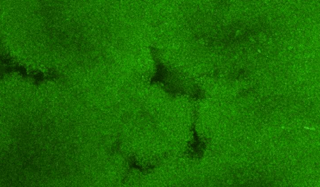 天津市寶坻區(qū)大力超市（朱廣伶）涉嫌銷售超限量使用食品添加劑食品