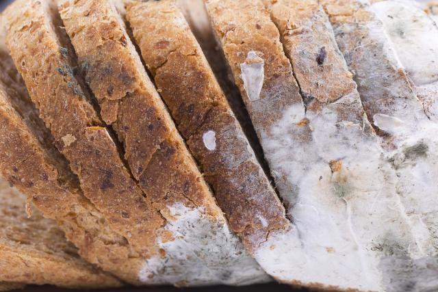 如何確保選購進(jìn)口食品添加劑不超標(biāo)這17批不合格進(jìn)口食品嚴(yán)禁入境