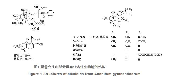 露蕊烏頭化學(xué)成分和藥理活性的研究進(jìn)展