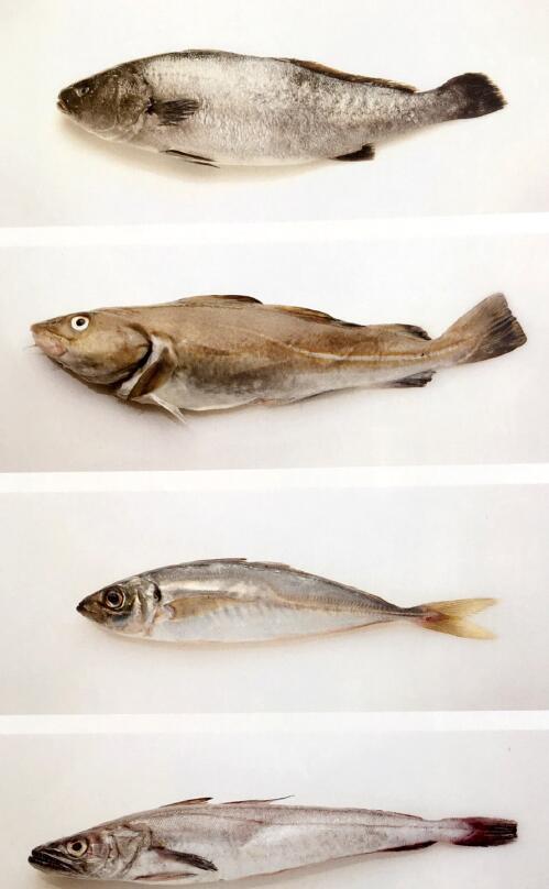 神奇增稠劑以及購(gòu)買各種高端餐廳食品時(shí)的注意事項(xiàng)