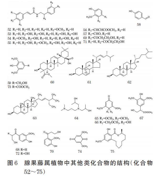 腺果藤屬植物的化學成分和藥理作用研究進展（三）