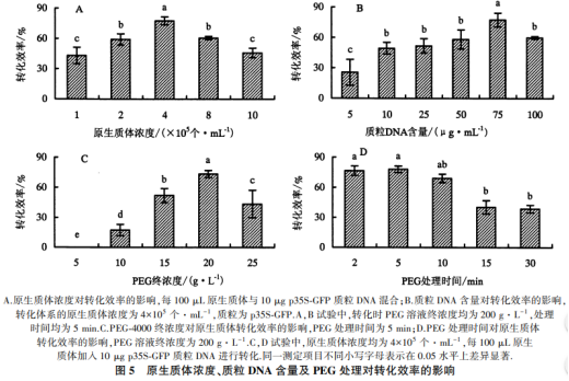 茉莉花原生質(zhì)體瞬時(shí)表達(dá)體系的建立及應(yīng)用（二）