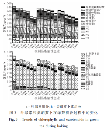 綠茶加工中主要脂溶性色素變化及其對茶葉色澤品質(zhì)的影響（二）