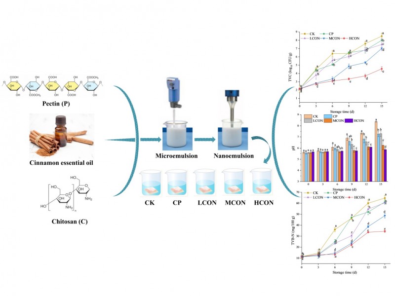 河南省冷鏈食品質(zhì)量安全控制重點實驗室白艷紅教授課題組在LWT-Food Science and Technology發(fā)表研究成果
