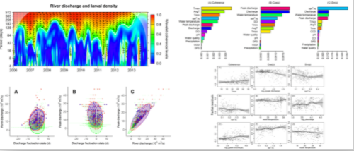 中國水產(chǎn)科學(xué)研究院珠江所在珠江草魚仔魚發(fā)生和豐度波動(dòng)方面取得進(jìn)展