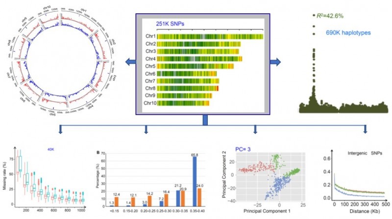 突破瓶頸——我科學(xué)家開發(fā)高密度液相生物芯片