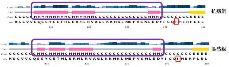 中國水產(chǎn)科學(xué)研究院生物中心在鯉抵抗嗜水氣單胞菌感染的分子機制方面取得新進展