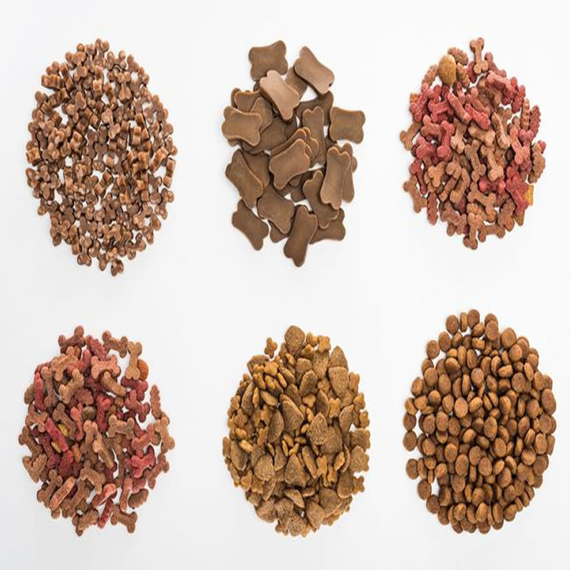 魚(yú)肉蛋白酶解制備寵物糧食！你家寵物吃到了嗎？