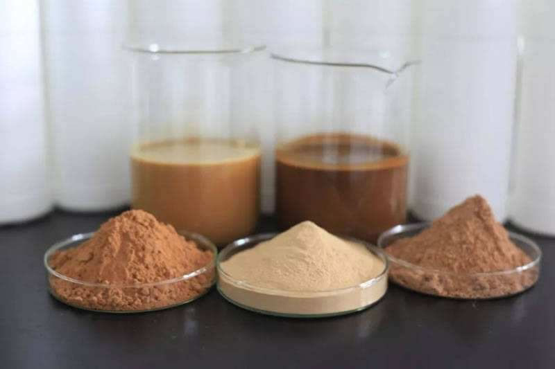 如何酶解牛肉提高寵物誘食劑適口性? 如何酶解牛肉才能提高寵物誘食劑適口性?