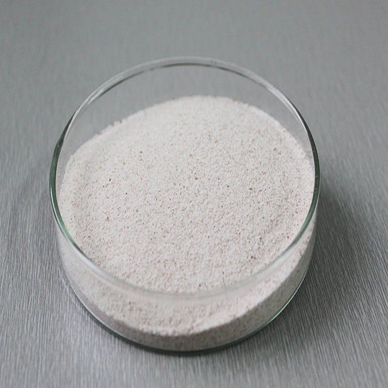 如何水解小麥蛋白？