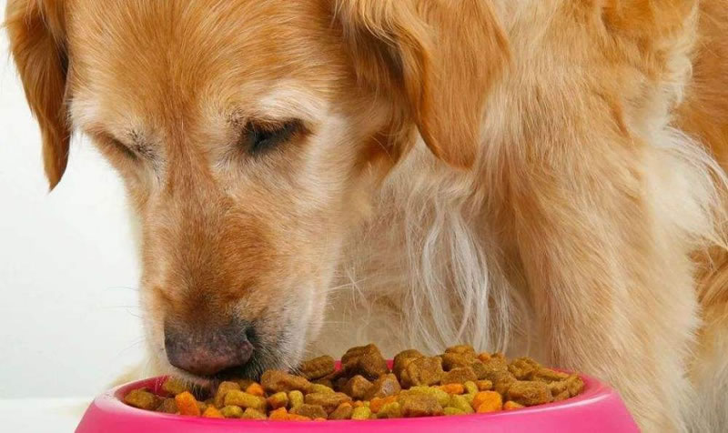 如何酶解雞肝粉生產(chǎn)熱反應(yīng)型寵物誘食劑？