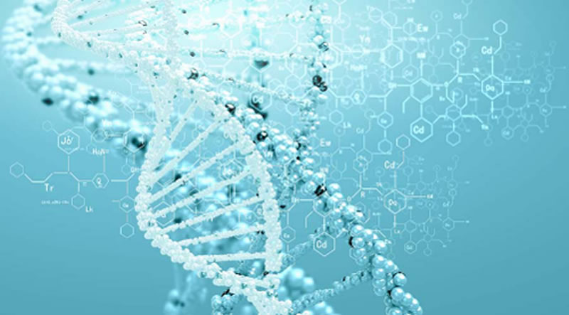 酶解法水解雞肝寵物誘食劑用什么酶好？