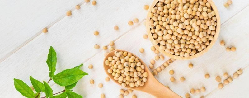 為什么酶解大豆蛋白制備大豆肽口感是苦的？如何解決？