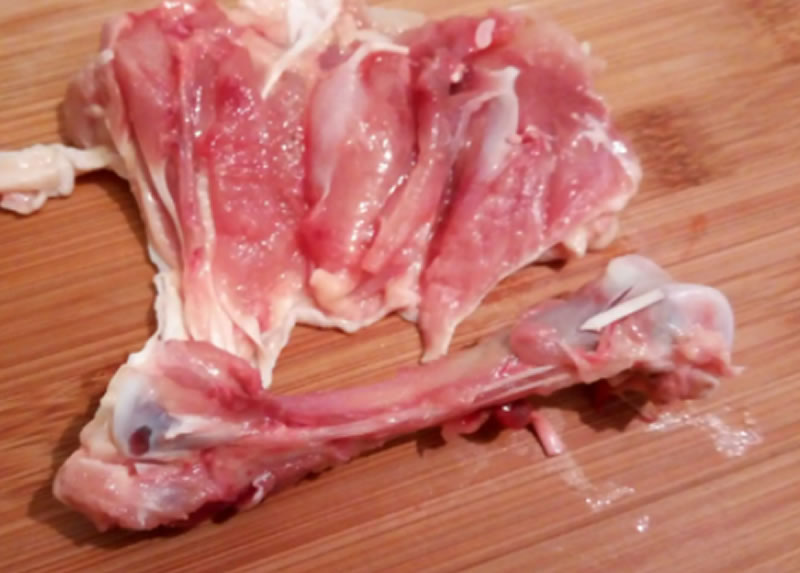 酶解雞腿骨制備硫酸軟骨素用什么酶？