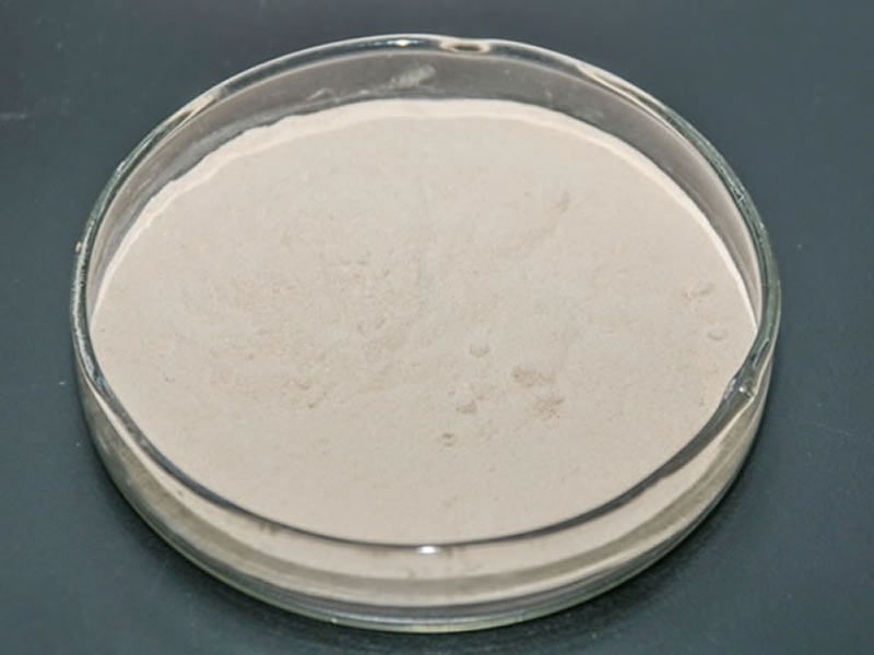 大豆蛋白如何酶解生產(chǎn)植物蛋白飲料？