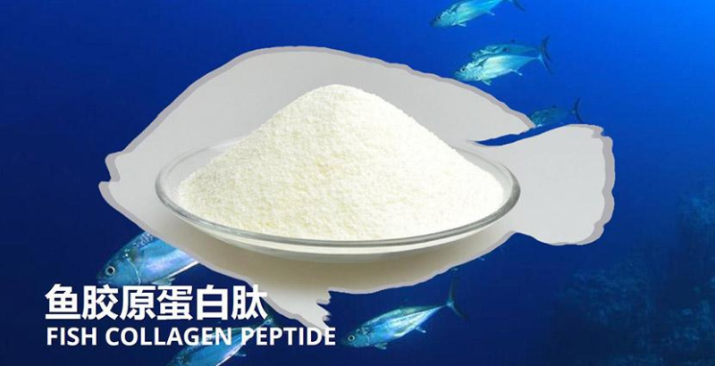 鱈魚(yú)如何酶解提取魚(yú)皮膠原蛋白？