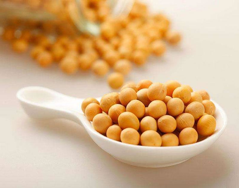 酶解大豆蛋白制備大豆蛋白肽，如何選擇酶制劑？