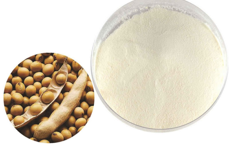 酶解大豆蛋白制備大豆蛋白肽，如何選擇酶制劑？