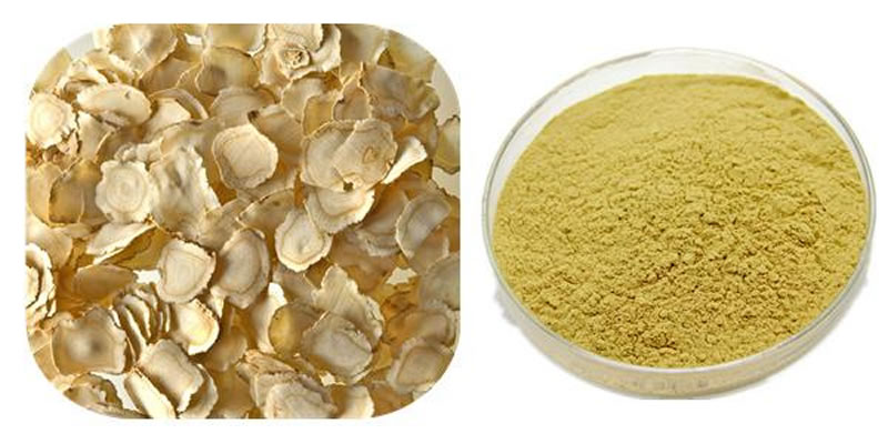 怎樣利用酶解法提取中藥有效成分？