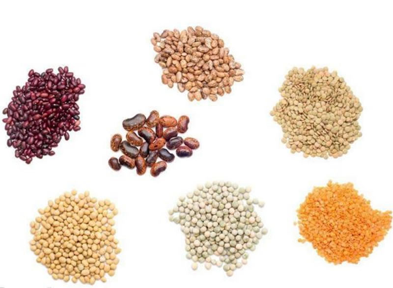 酶解技術(shù)生產(chǎn)改性植物蛋白！