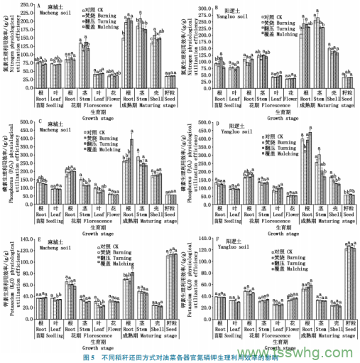 稻稈還田方式對油菜產(chǎn)量及養(yǎng)分效率的影響（三）