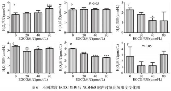 表沒食子兒茶素沒食子酸酯穩(wěn)定性研究（三）