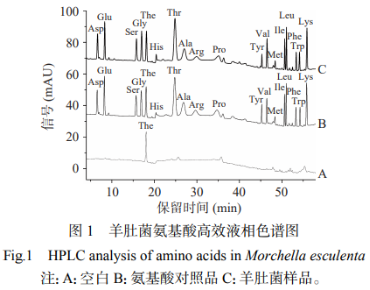 一測多評法測定羊肚菌中17種氨基酸的含量（二）