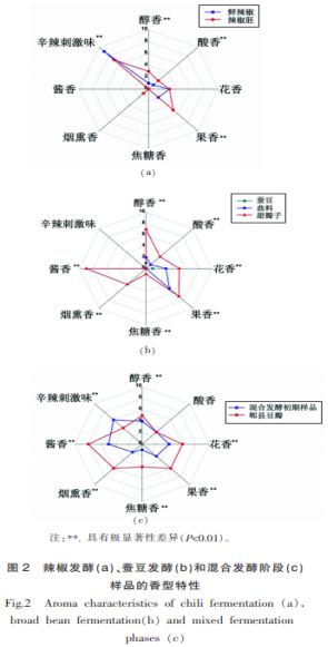 郫縣豆瓣特征揮發(fā)性物質(zhì)演變及其香型特性研究（二）