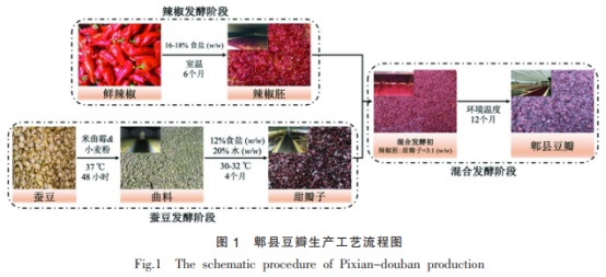 郫縣豆瓣特征揮發(fā)性物質(zhì)演變及其香型特性研究（一）