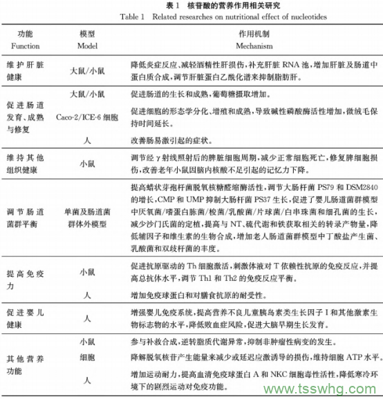 核酸代謝與營(yíng)養(yǎng)研究及發(fā)展趨勢(shì)（四）