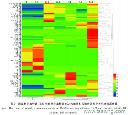山西老陳醋優(yōu)良芽孢菌與醋酸菌、乳酸菌的相互作用（四）