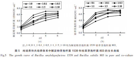 山西老陳醋優(yōu)良芽孢菌與醋酸菌、乳酸菌的相互作用（三）