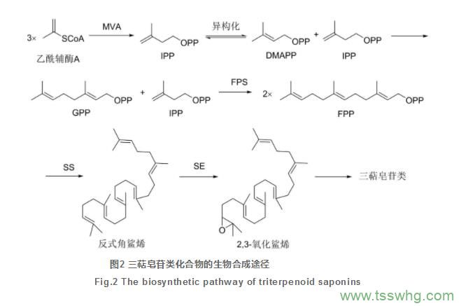 過磷酸鈣中有效磷(P2O5)含量的測定（三）