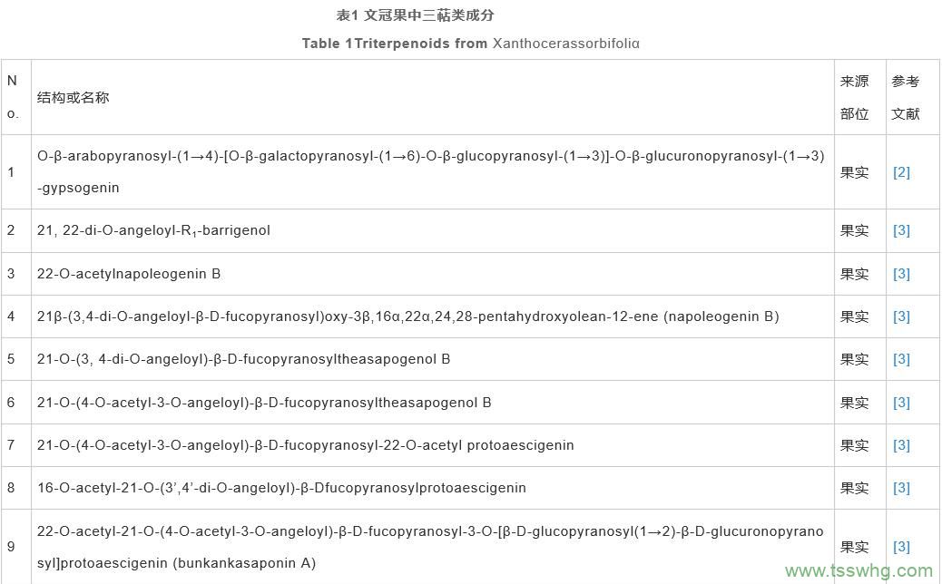 文冠果研究開(kāi)發(fā)進(jìn)展（一）